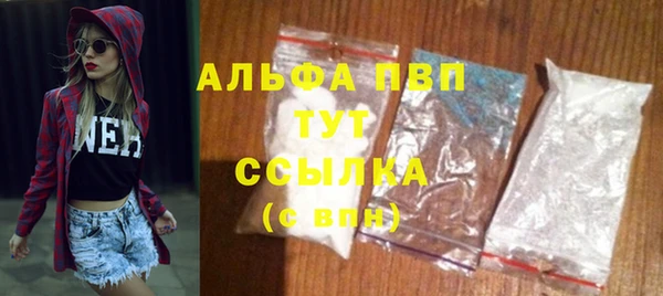 твердый Абаза
