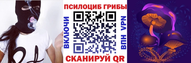Псилоцибиновые грибы мицелий  Электросталь 