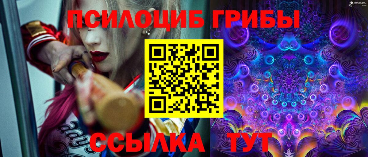Электросталь  Псилоцибиновые грибы Psilocybe  Вход с VPN  Псилоцибиновые грибы ЛСД 