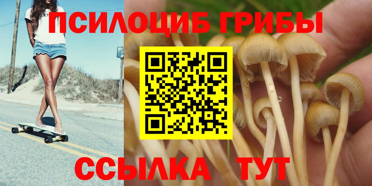 Псилоцибиновые грибы мицелий Электросталь