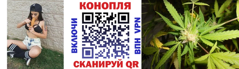 наркотики Электросталь МАРИХУАНА семена
